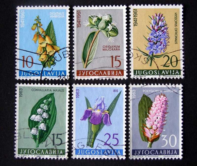YUGOSLAVIA - Medicinal Plants 1961-63 //Flowers
