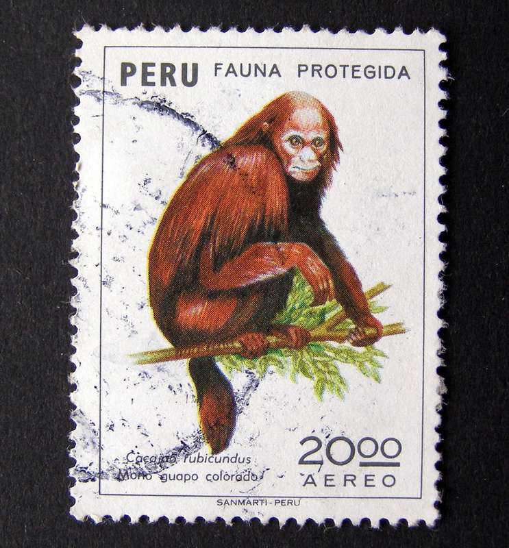 PERU - Fauna Protection 1974 //Animals