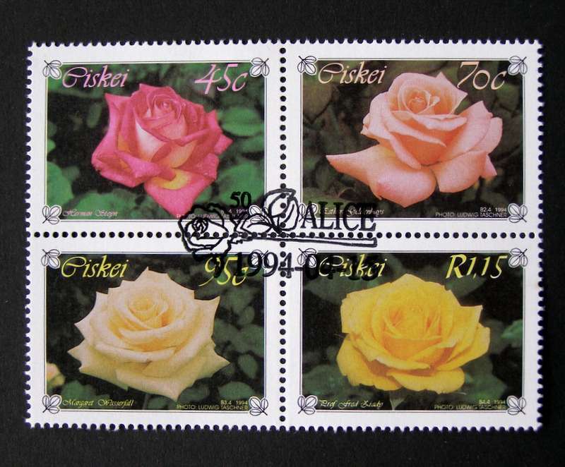 CISKEI Set (CTO) - Hybrid Roses 1994 //Flowers
