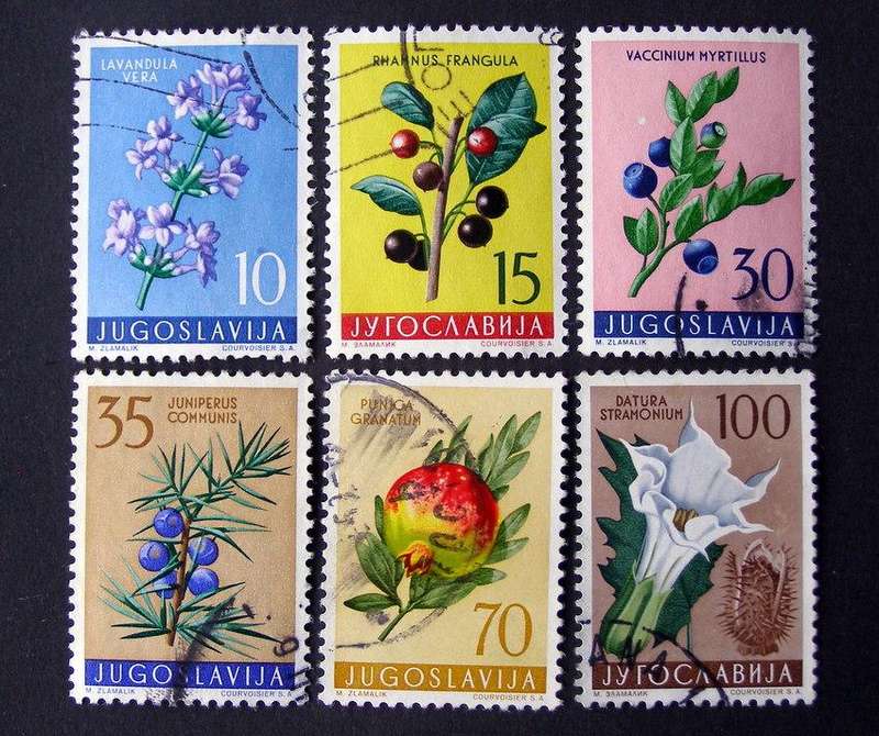 YUGOSLAVIA - Medicinal Plants 1959 //Flowers