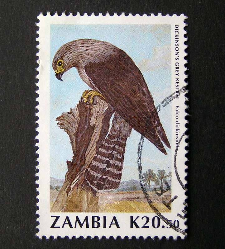 ZAMBIA - Birds (2nd Series) 1990