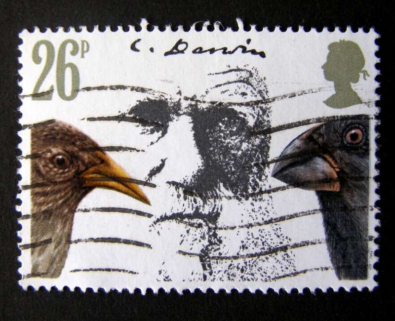 GREAT BRITAIN - Death Centenary of Charles Darwin 1982