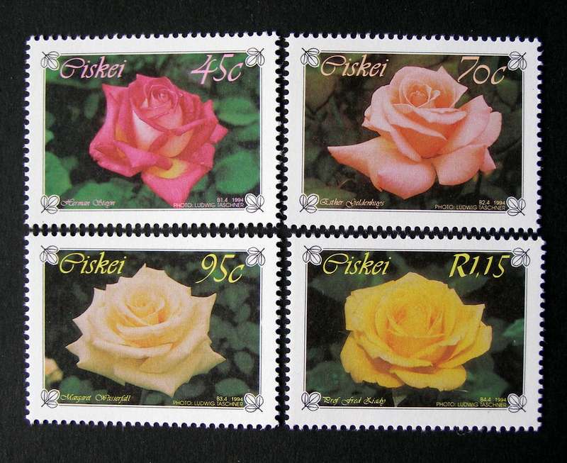 CISKEI Mint Set - Hybrid Roses 1994 //Flowers