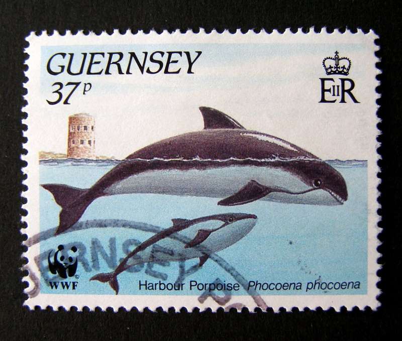 GUERNSEY - Marine Life 1990