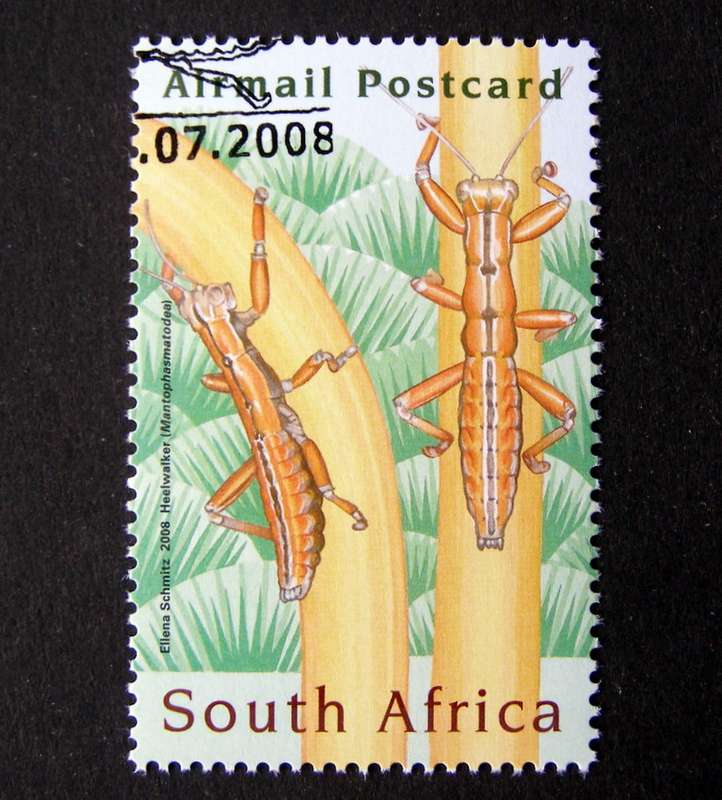 SOUTH AFRICA Set (CTO) - International Entomology Conference 2008