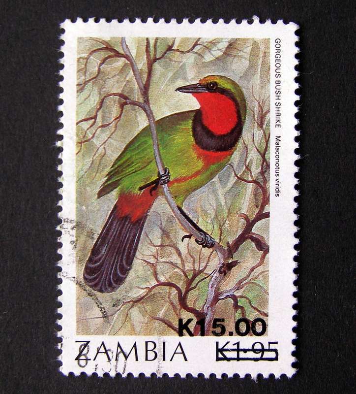 ZAMBIA - Birds Surcharge 1989