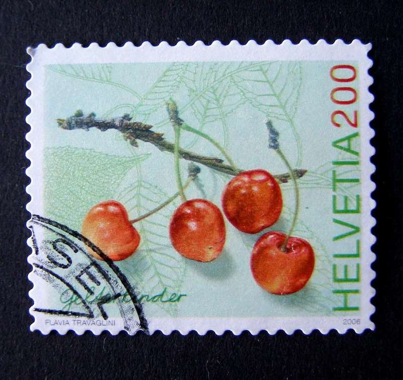 SWITZERLAND - Rare Breeds Association 2006