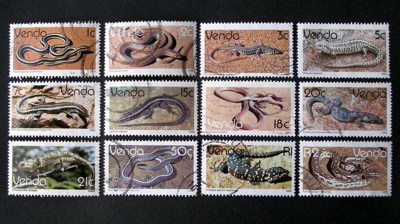 VENDA - Reptiles 1986