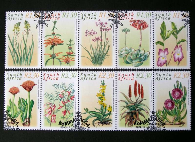 SOUTH AFRICA Set (CTO)- Medicinal Plants 2000
