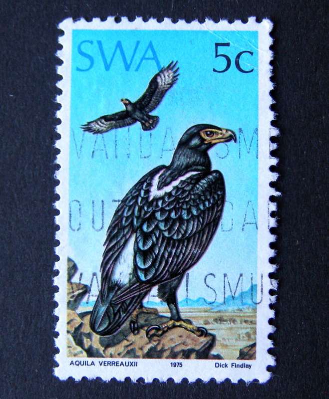 SWA - Protected Birds of Prey 1975