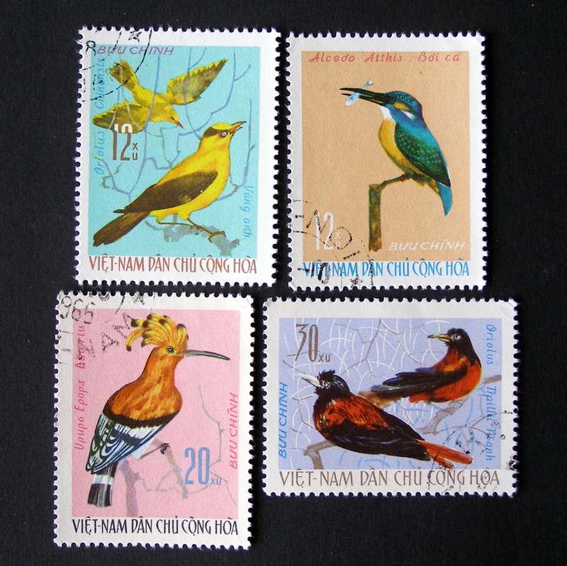 NORTH VIETNAM - Birds 1966