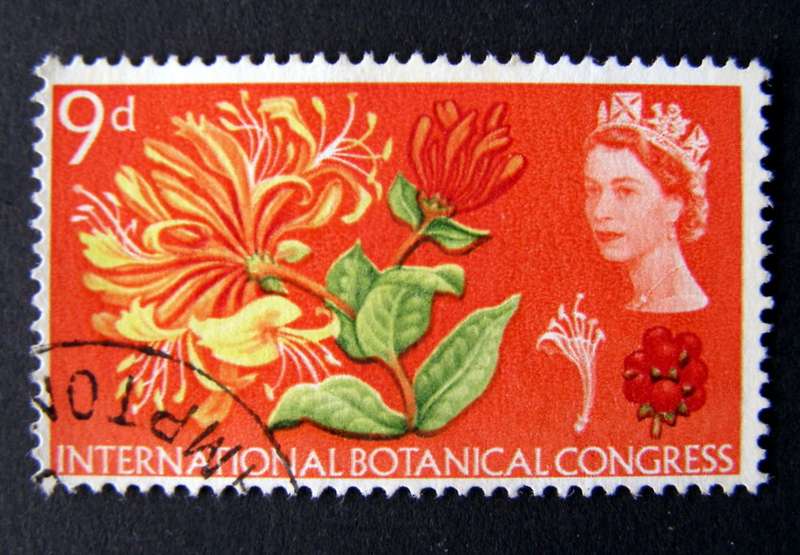 GREAT BRITAIN - International Botanical Congress (Phosphor Bands) 1964 //Flowers