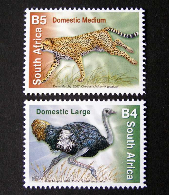 SOUTH AFRICA Mint - Additional Values to the 7th Definitive 2007 //Birds//Animals