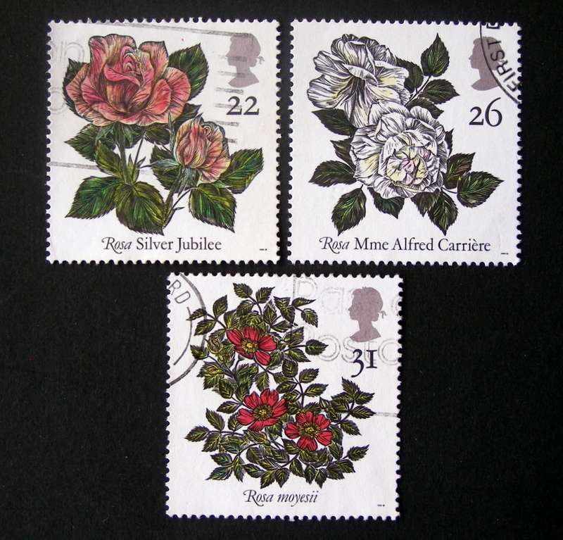 GREAT BRITAIN - Roses 1991 //Flowers