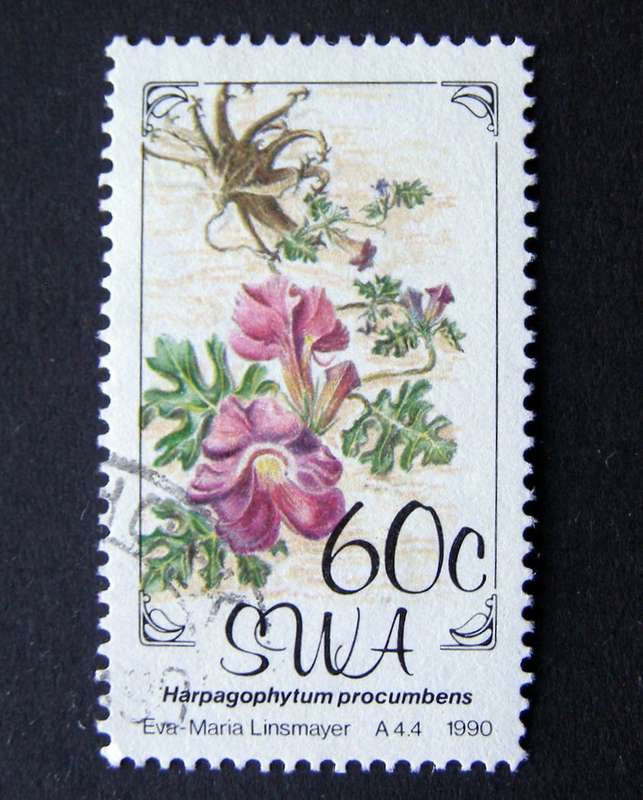 SWA - Flora 1990 //Flowers