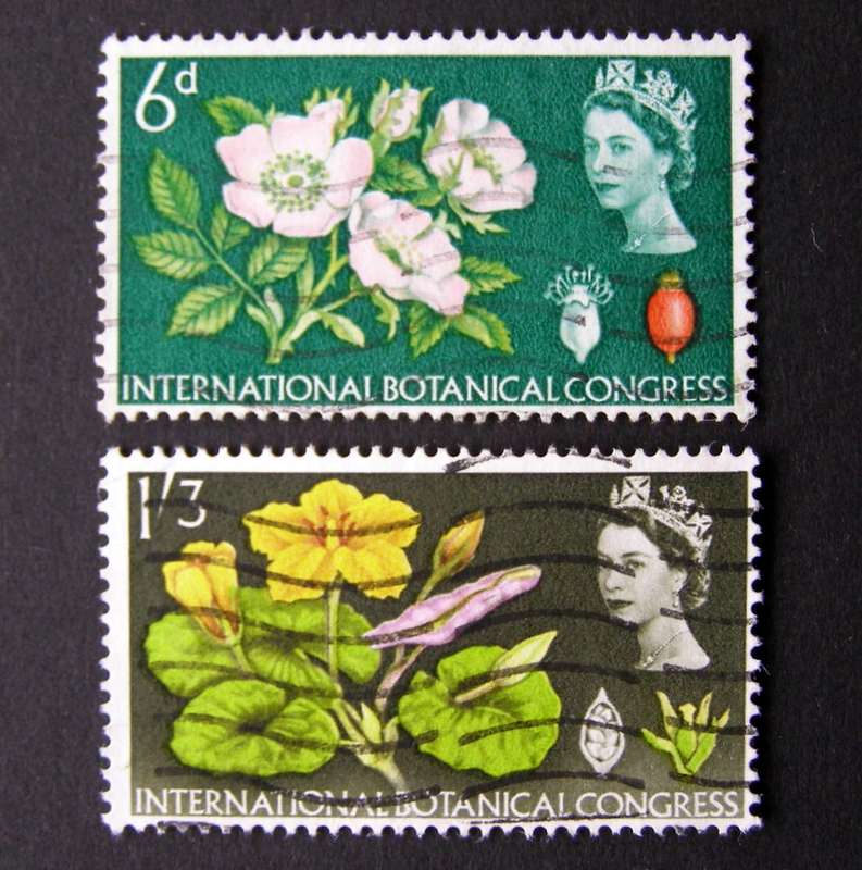 GREAT BRITAIN - International Botanical Congress 1964 //Flowers