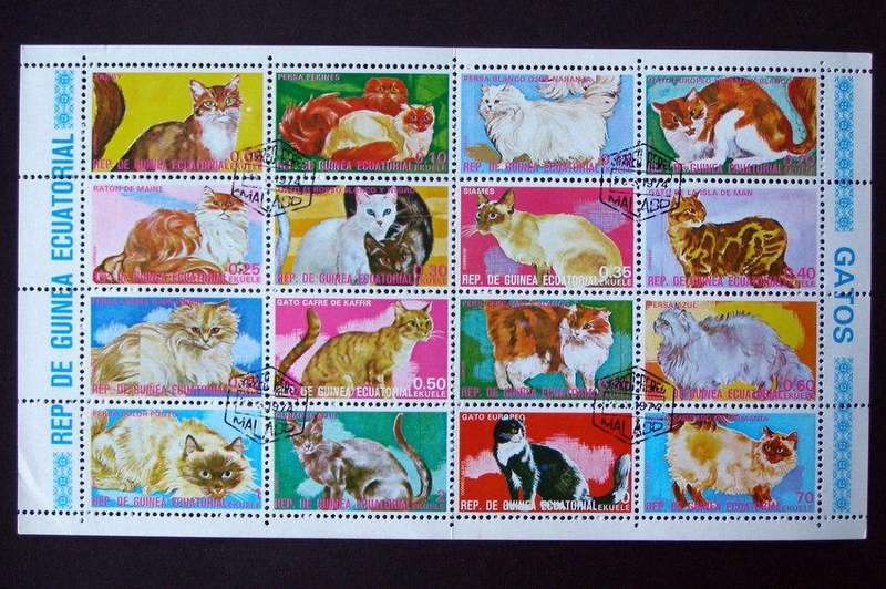 EQUATORIAL GUINEA Sheet (CTO) - Cats 1974