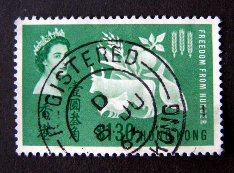 HONG KONG Set - Freedom from Hunger 1963