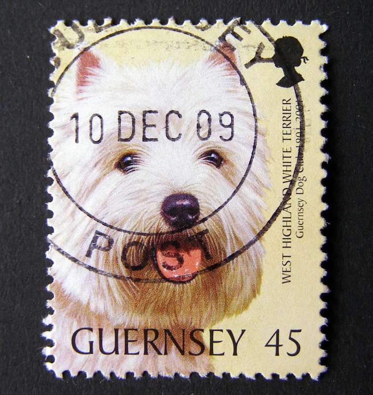 GUERNSEY - Centenary of Guernsey Dog Club 2001