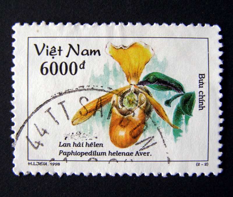 VIETNAM - Orchids 1998 //Flowers