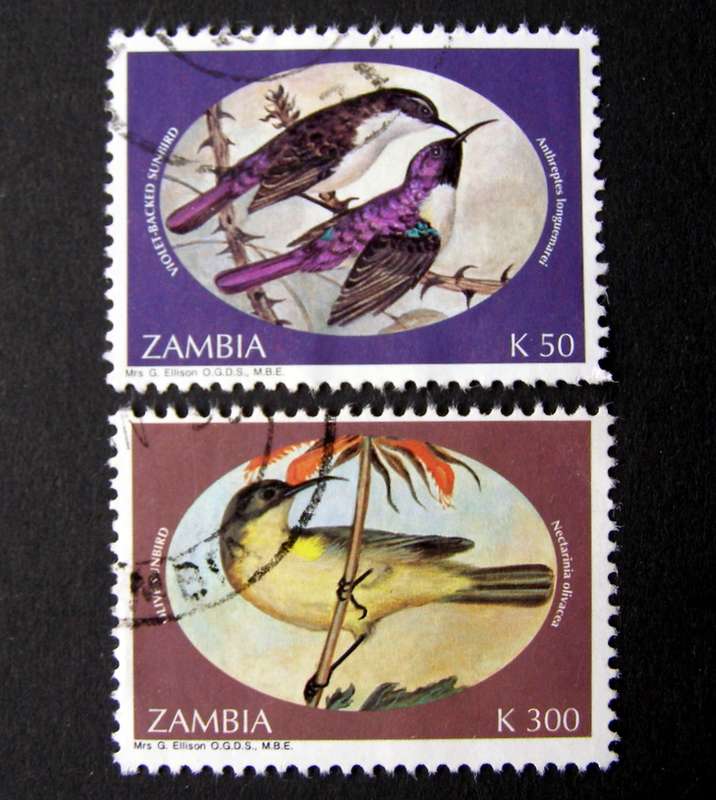 ZAMBIA - Sunbirds 1994