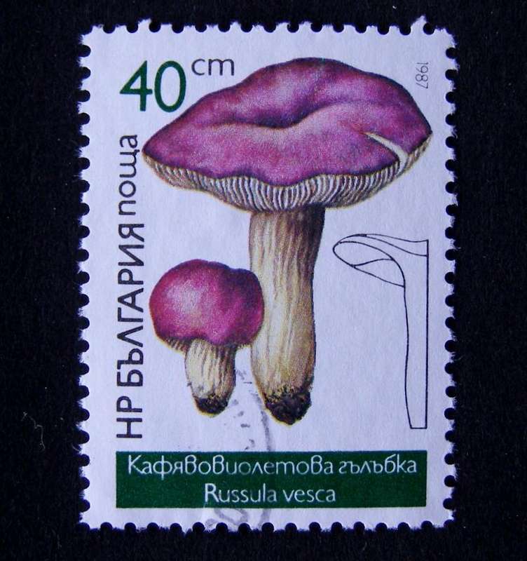 BULGARIA - Edible Fungi 1987