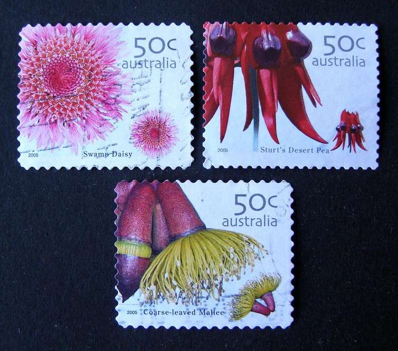 AUSTRALIA  - Wildflowers (1st Series) 2005