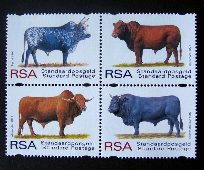 SOUTH AFRICA Mint Set - Indigenous Cattle 1997
