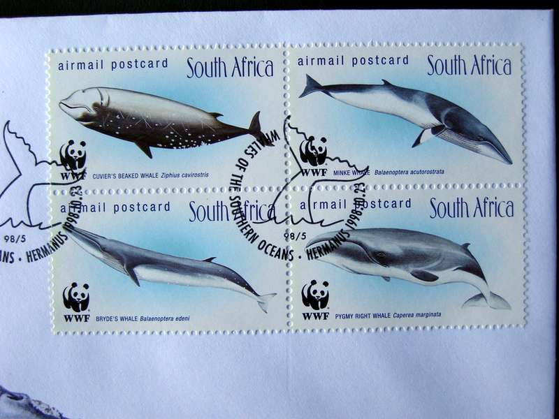 SOUTH AFRICA Cover - Whales of the Southern Oceans 1998