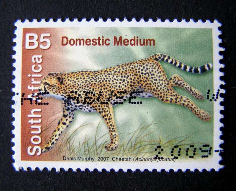 SOUTH AFRICA - Additional Value to the 7th Definitive 2007 //Animals