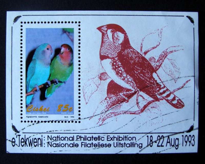 CISKEI Miniature Sheet - Cage and Aviary Birds 1993