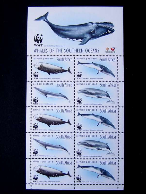 SOUTH AFRICA Mint Sheet - Whales of the Southern Oceans 1998