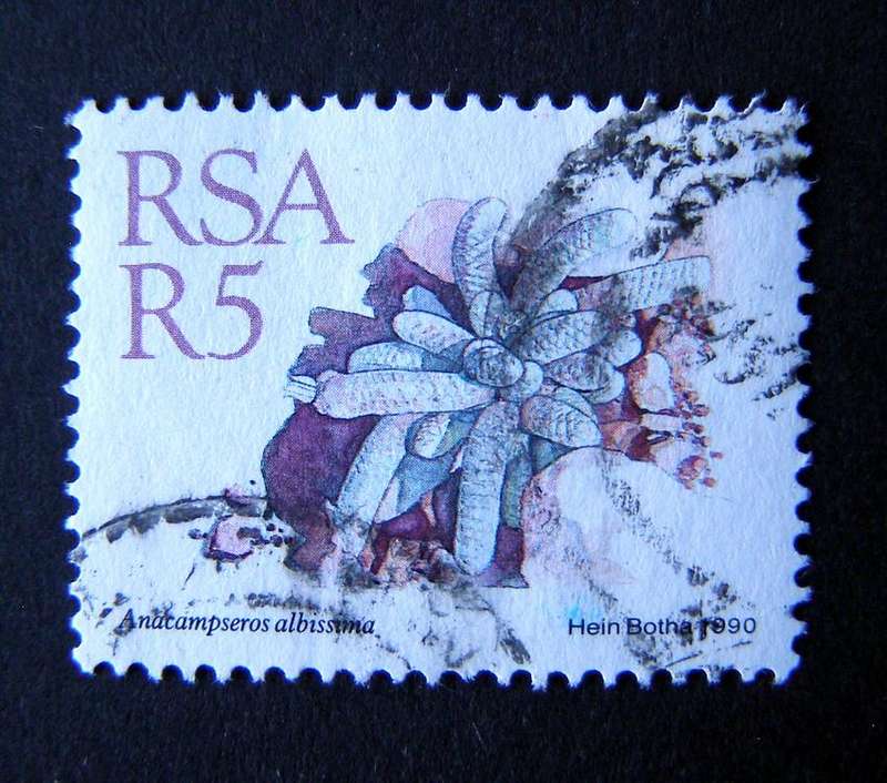SOUTH AFRICA - R5 Succulents Definitive additional value 1990
