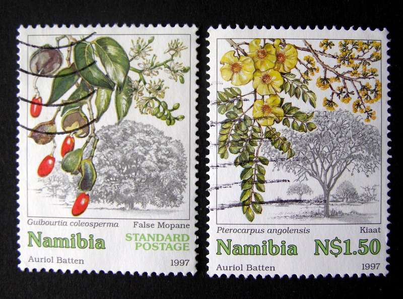 NAMIBIA - Trees 1997