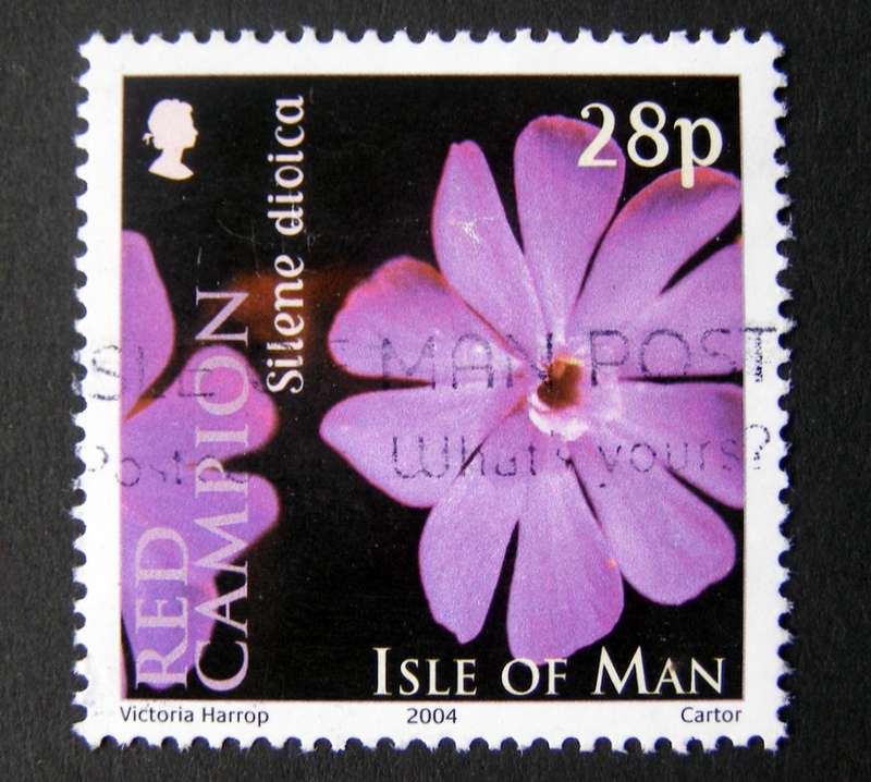 ISLE OF MAN - Wild Flowers 2004