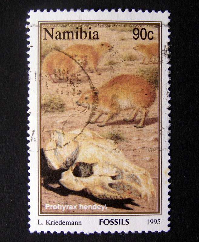 NAMIBIA - Fossils 1995