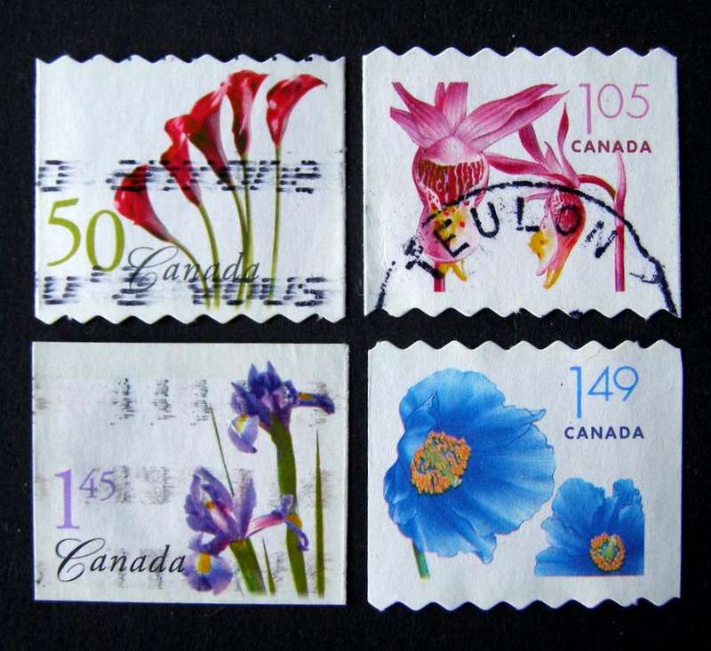 CANADA - Flowers (1st Series) 2004