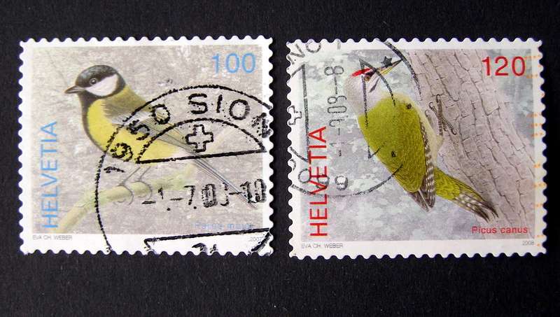SWITZERLAND - Birds 2006