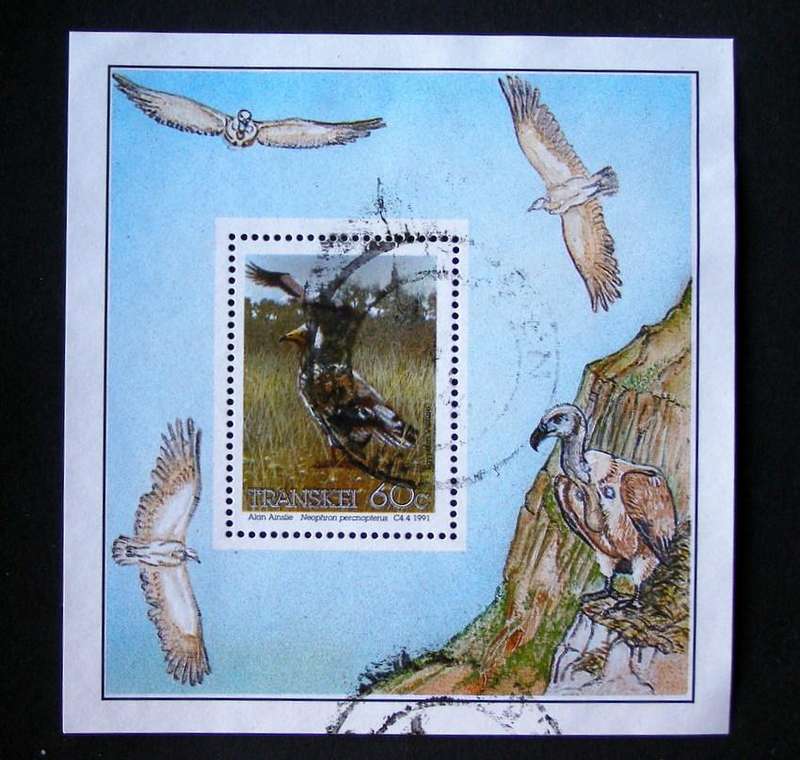 TRANSKEI Miniature Sheet - Endangered Birds 1991
