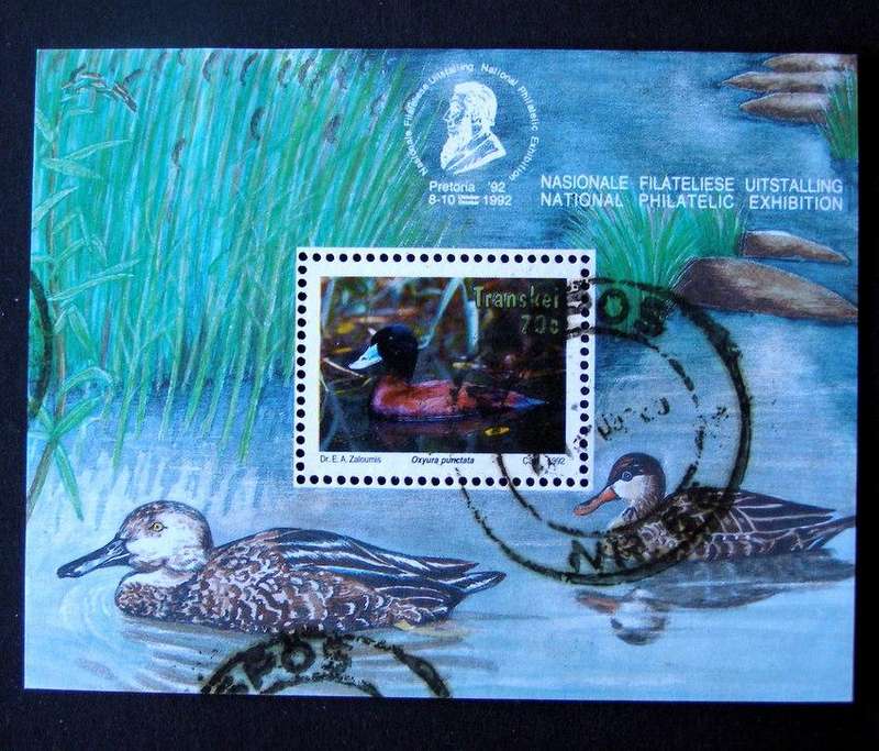 TRANSKEI Miniature Sheet - Water Fowl 1992