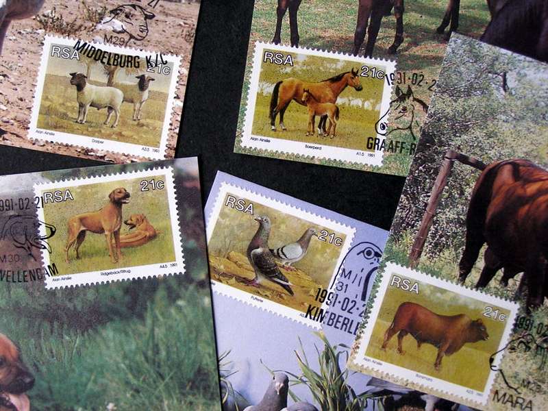 SOUTH AFRICA Maxi Card Set - Animal Breeding 1991