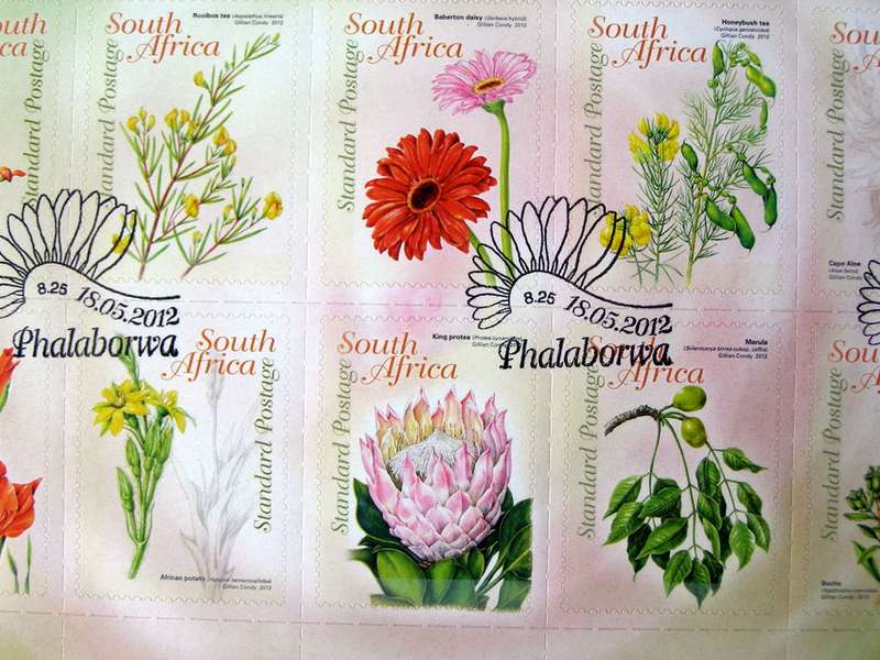 SOUTH AFRICA Set (Self-Adhesive, CTO) - Commercial and Medicinal Plants 2012 //Flowers