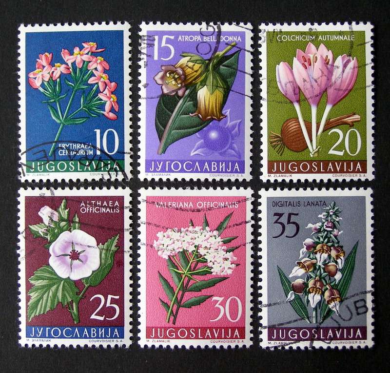 YUGOSLAVIA (CTO) - Flowers 1957
