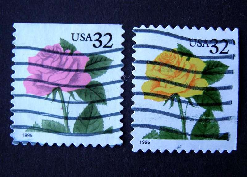 U.S.A. - Roses 1993 //Flowers