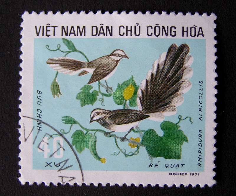 NORTH VIETNAM - Birds 1973