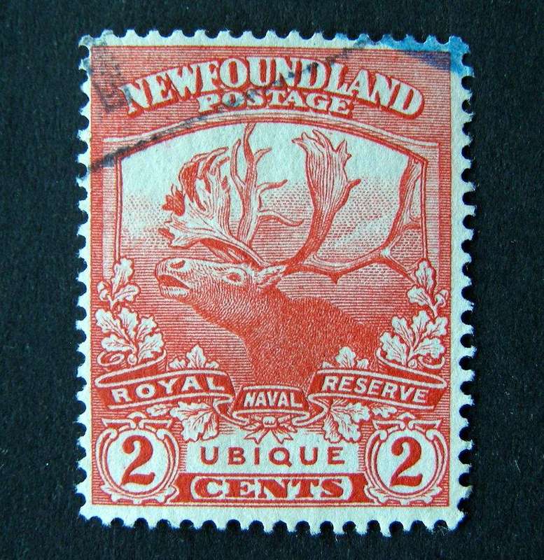 NEWFOUNDLAND - Newfoundland Contingent (1914-18) 1919