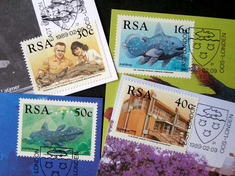 SOUTH AFRICA Maxi Card Set - Identification of the Coelacanth 1989