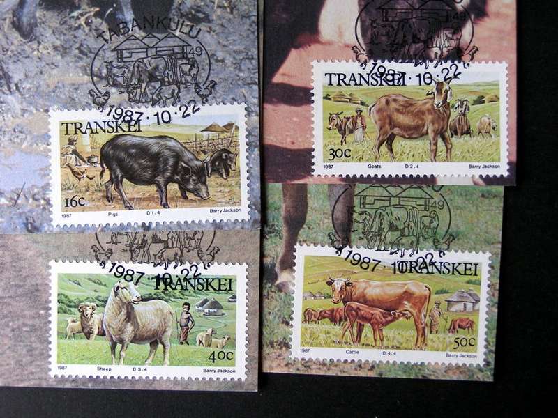 TRANSKEI Maxi Card Set - Domestic Animals 1987