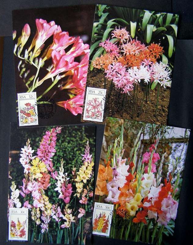 SOUTH AFRICA Maxi Card Set - Floral Emigrants 1985 //Flowers