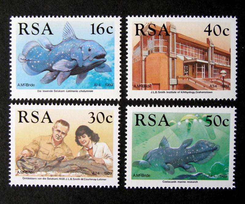 SOUTH AFRICA Mint Set - Identification of the Coelacanth 1989